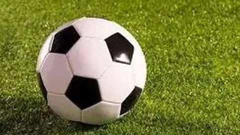 网易星光 快讯播报