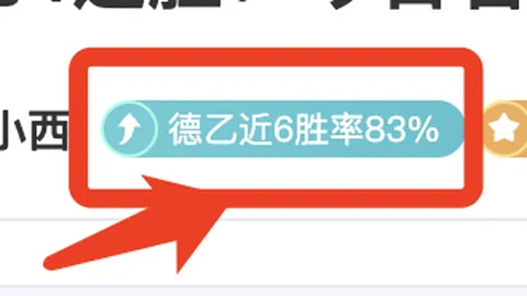 “2025年，阿根廷新星萨尔科有望加盟德甲劲旅勒沃库森”